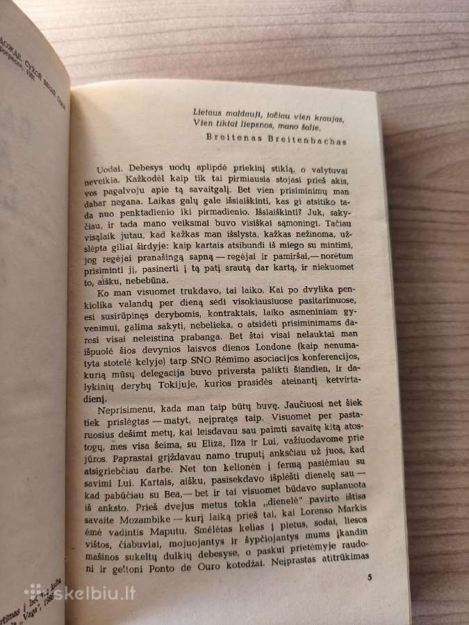 Andrė Brinkas "Gandai apie lietų" - nuotraukos Nr. 6