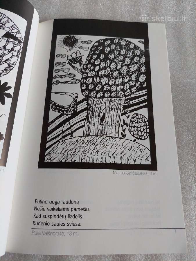 Paukštis - nuotraukos Nr. 3