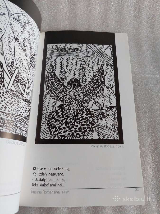Paukštis - nuotraukos Nr. 5