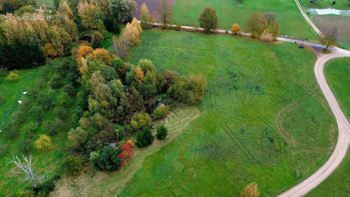 Parduodamas 1,4 ha žemės ūkio paskirties sklypas - nuotraukos Nr. 3