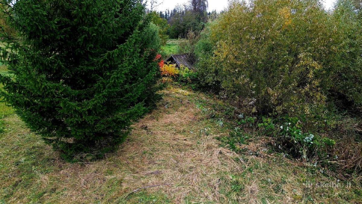 Parduodamas 1,4 ha žemės ūkio paskirties sklypas - nuotraukos Nr. 4