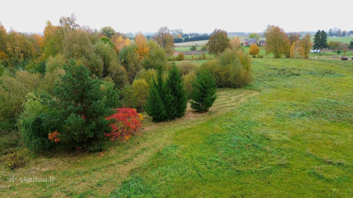 Parduodamas 1,4 ha žemės ūkio paskirties sklypas - nuotraukos Nr. 5