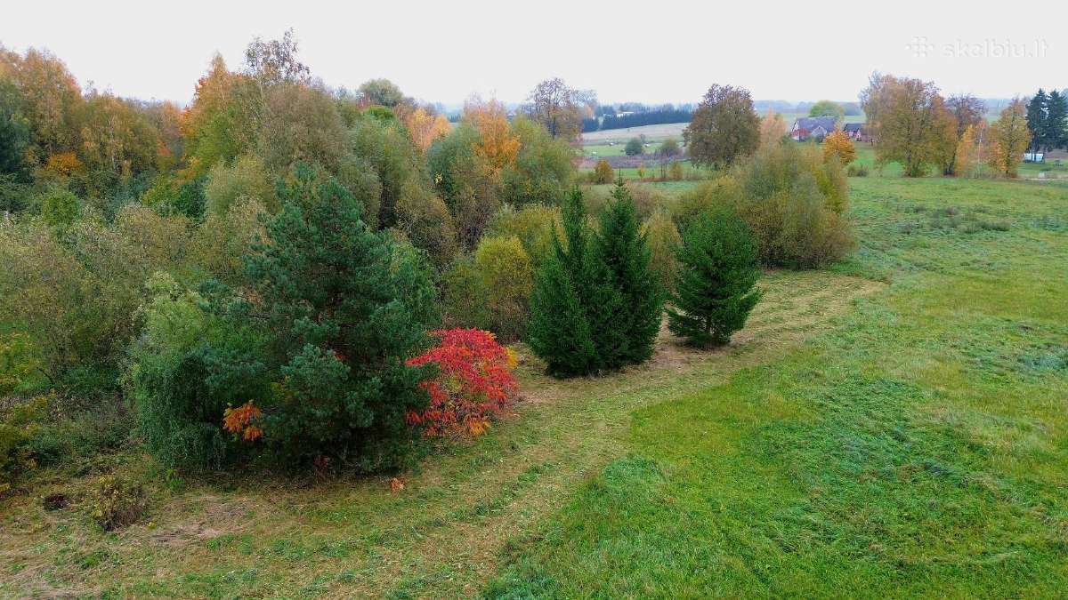 Parduodamas 1,4 ha žemės ūkio paskirties sklypas - nuotraukos Nr. 6