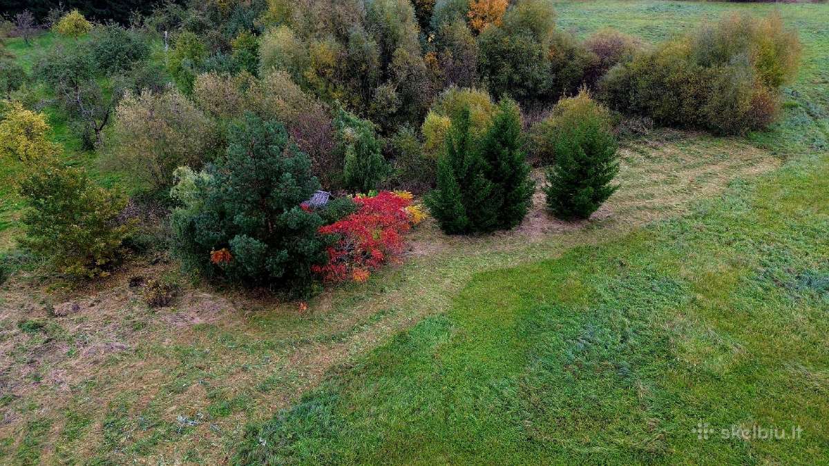 Parduodamas 1,4 ha žemės ūkio paskirties sklypas - nuotraukos Nr. 7