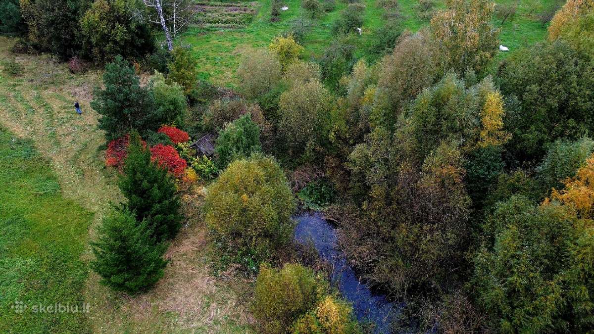Parduodamas 1,4 ha žemės ūkio paskirties sklypas - nuotraukos Nr. 9