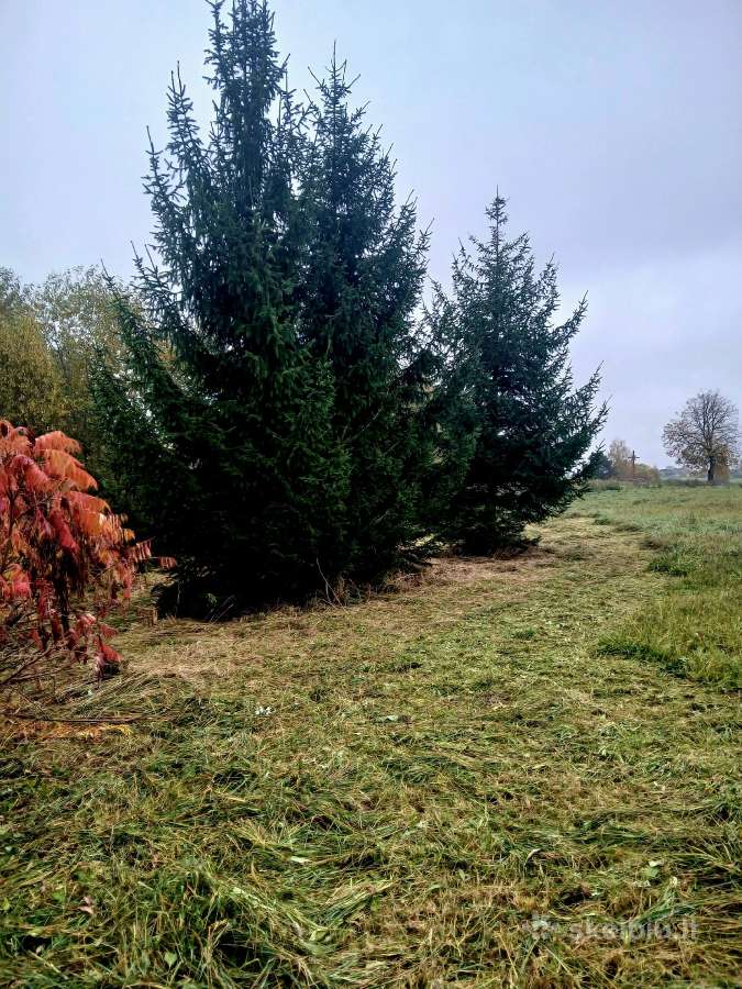 Parduodamas 1,4 ha žemės ūkio paskirties sklypas - nuotraukos Nr. 13