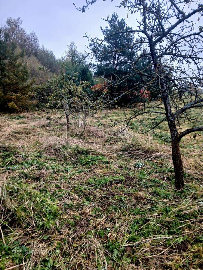 Parduodamas 1,4 ha žemės ūkio paskirties sklypas - nuotraukos Nr. 15