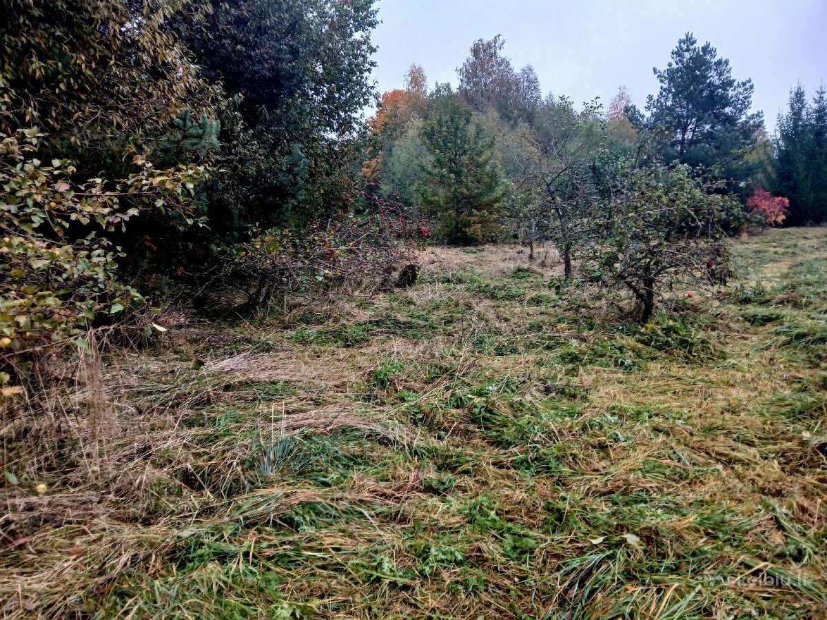 Parduodamas 1,4 ha žemės ūkio paskirties sklypas - nuotraukos Nr. 16