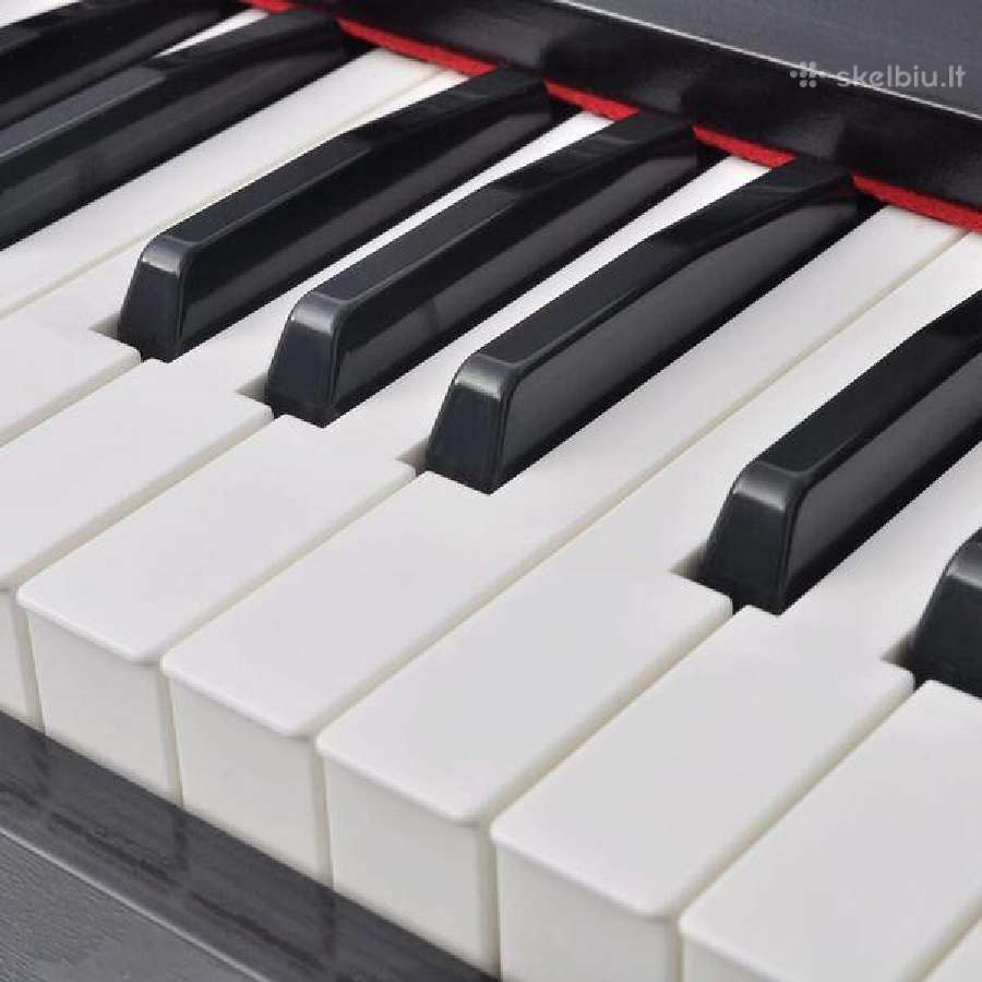 Skaitmeninis pianinas vidaxl(70045) - nuotraukos Nr. 2