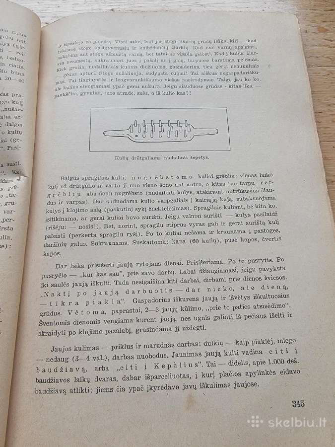 1938 m.žurnalas "Gimtasis kraštas" liepos-gruodžio - nuotraukos Nr. 5