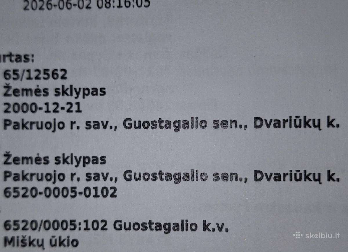 Miškas su žeme, ąžuolas, eglės, uosis. - nuotraukos Nr. 5