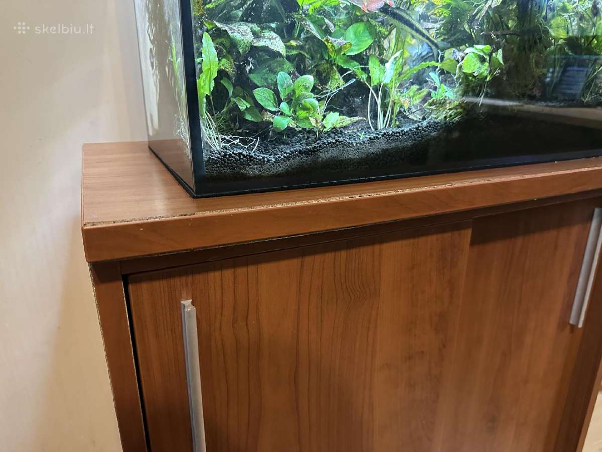 Akvariumas 72l - nuotraukos Nr. 2