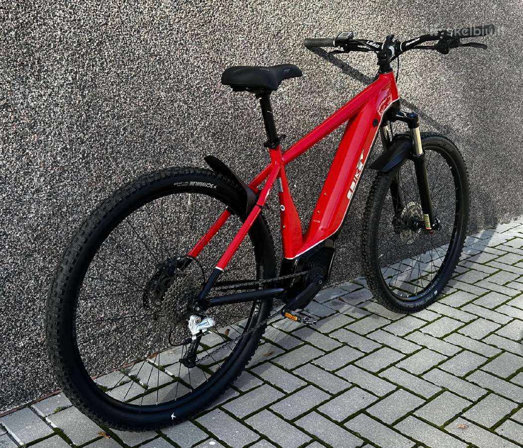 Ebike Elektrinis Dviratis - nuotraukos Nr. 4