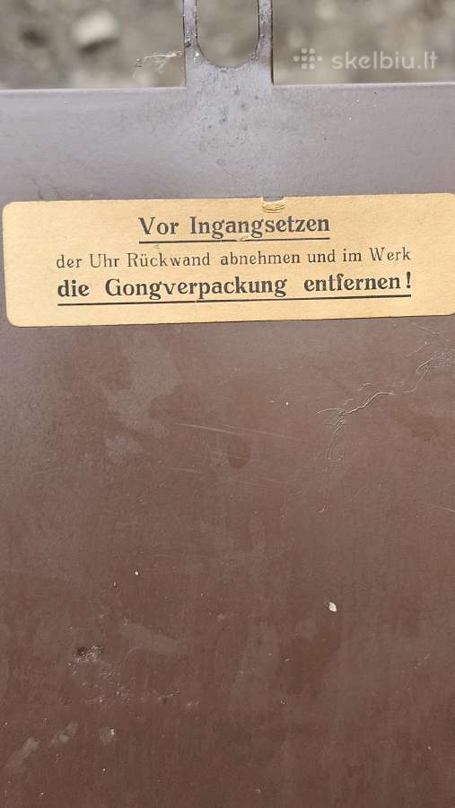 Sieninis laikrodis - nuotraukos Nr. 3