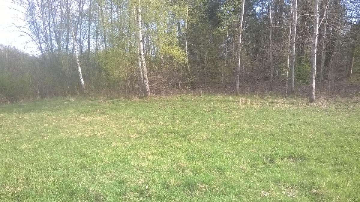 Skubiai Parduodamas sklypas 2,05ha - nuotraukos Nr. 6