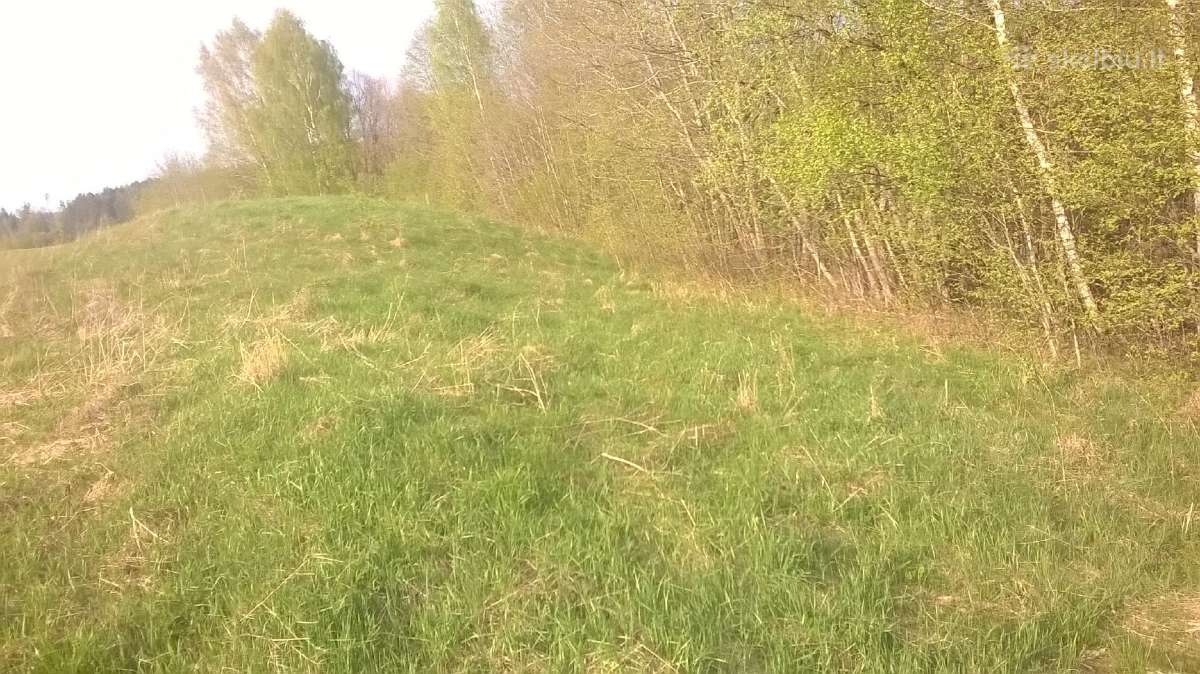 Skubiai Parduodamas sklypas 2,05ha - nuotraukos Nr. 7
