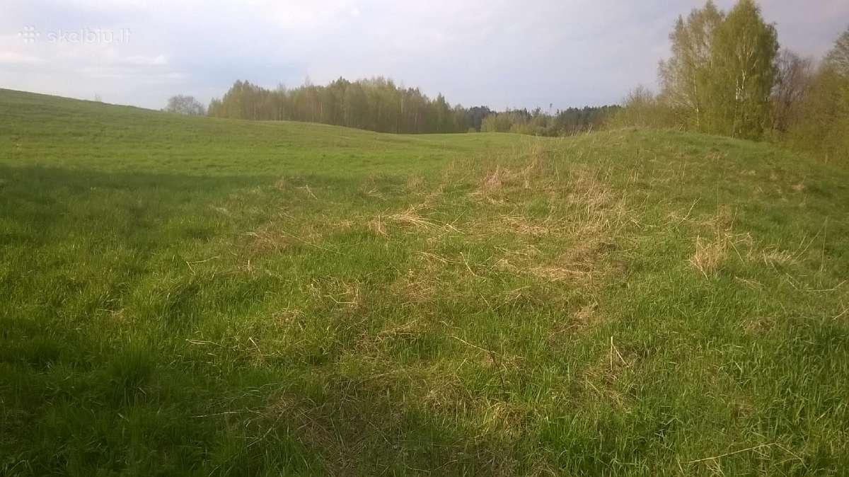 Skubiai Parduodamas sklypas 2,05ha - nuotraukos Nr. 8