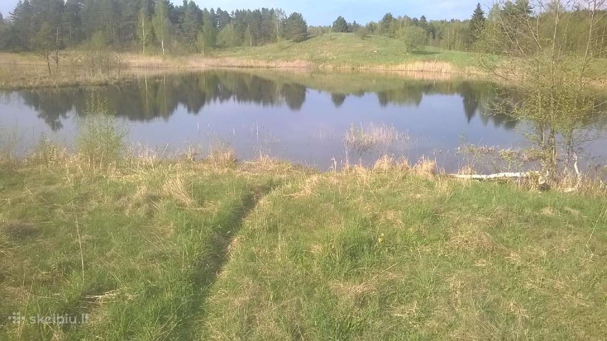 Skubiai Parduodamas sklypas 2,05ha - nuotraukos Nr. 9