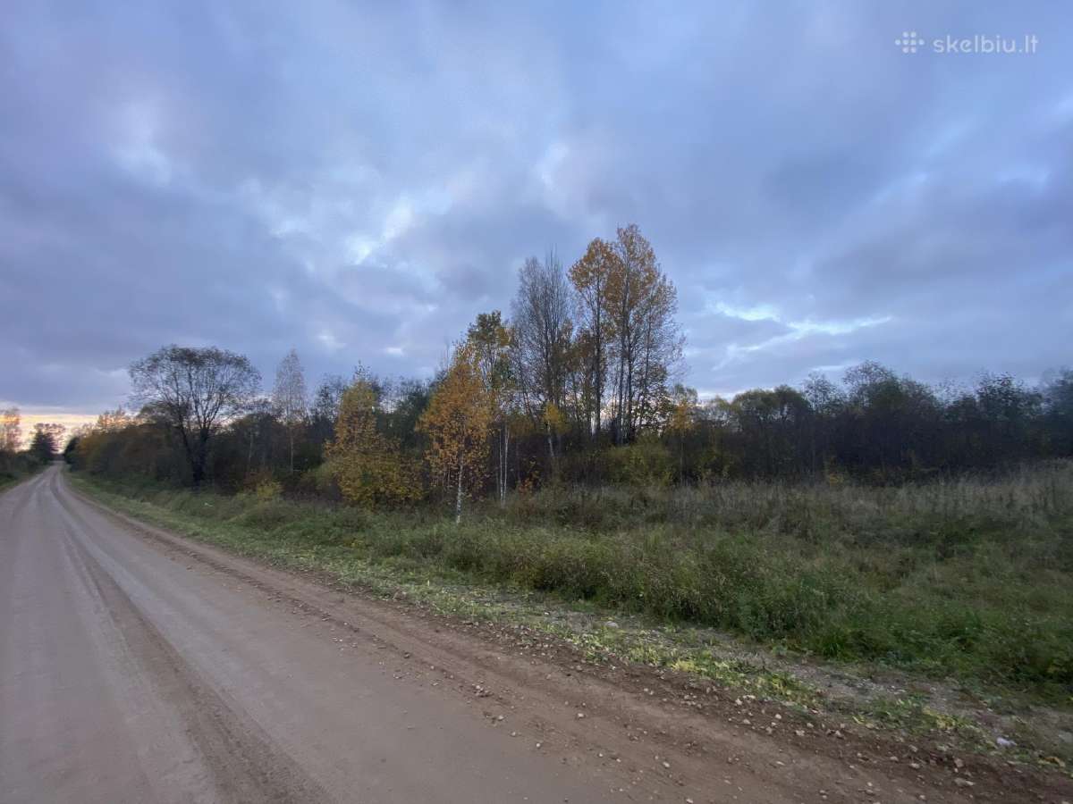 Išskirtinis 2,59 Ha Sklypas Prie Širvintos Upės - nuotraukos Nr. 5