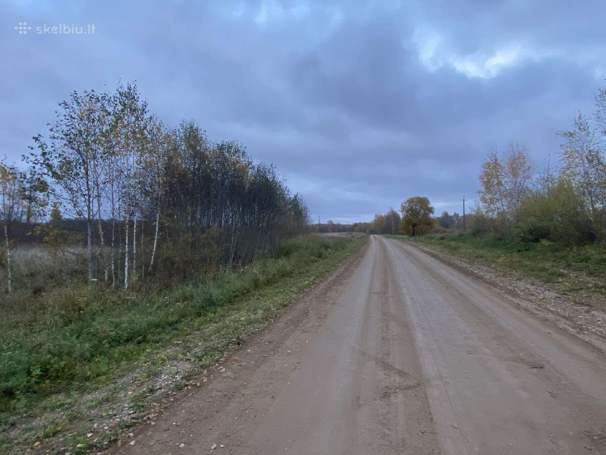 Išskirtinis 2,59 Ha Sklypas Prie Širvintos Upės - nuotraukos Nr. 6