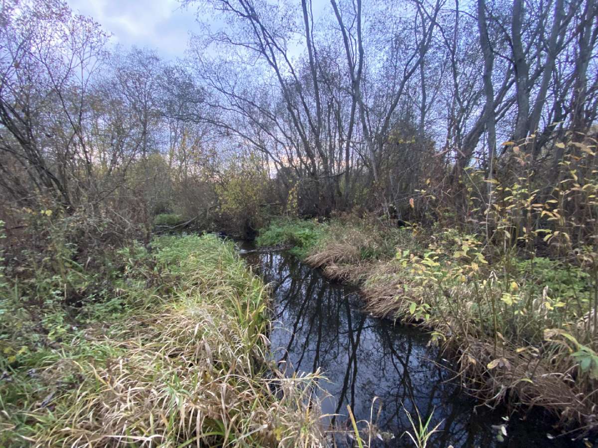 Išskirtinis 2,59 Ha Sklypas Prie Širvintos Upės - nuotraukos Nr. 7