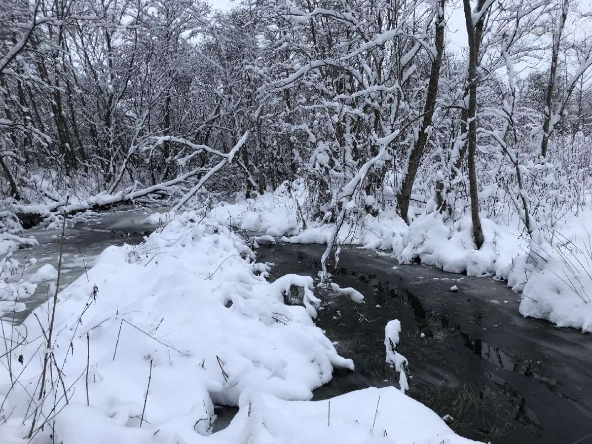 Išskirtinis 2,59 Ha Sklypas Prie Širvintos Upės - nuotraukos Nr. 9