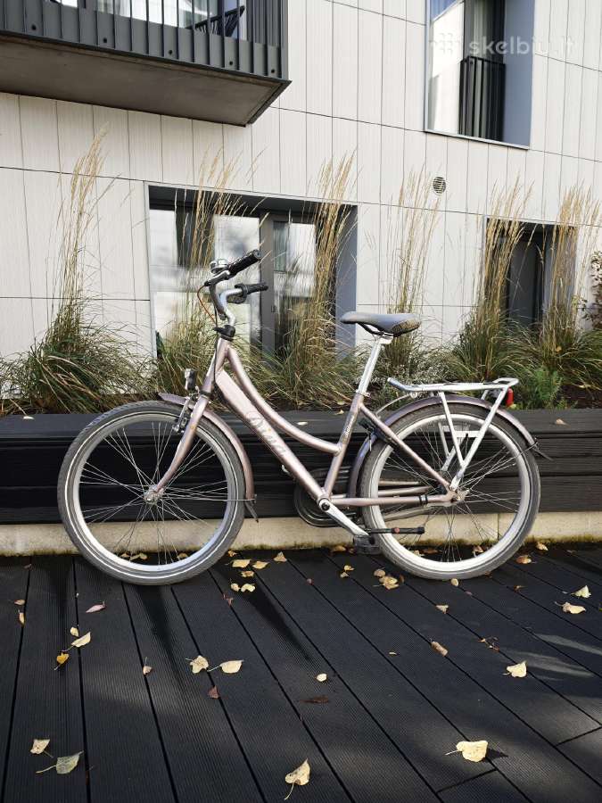 Dviratis Batavus Diva (24" ratai) - nuotraukos Nr. 6