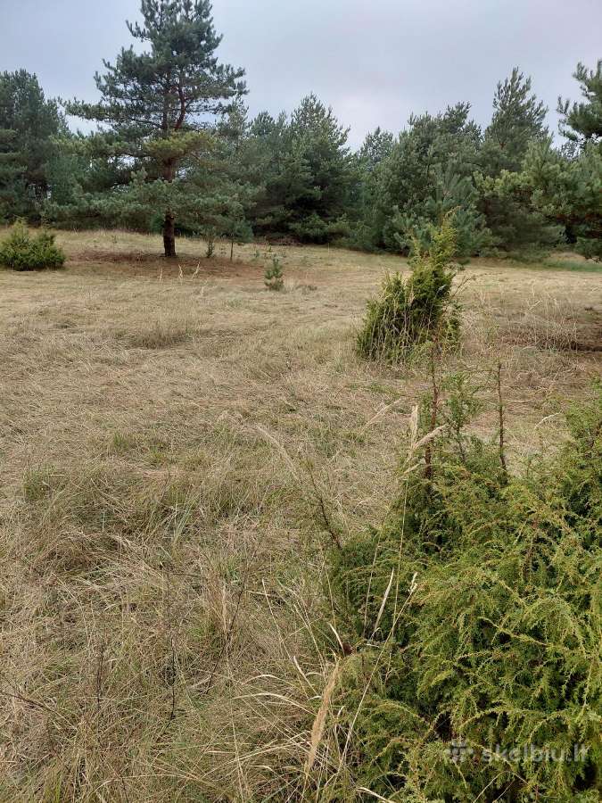 Sklypas namų valda - nuotraukos Nr. 2