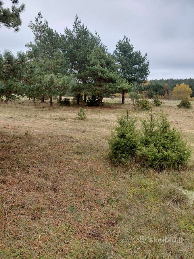 Sklypas namų valda - nuotraukos Nr. 3