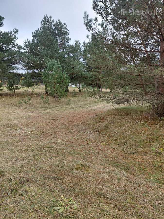 Sklypas namų valda - nuotraukos Nr. 4