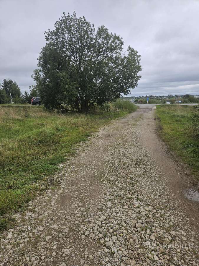 Parduodami 3 Žemės Ūkio Paskirties Sklypai - nuotraukos Nr. 2