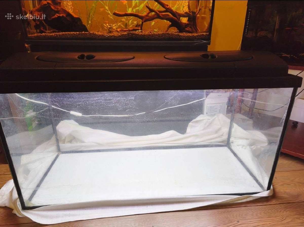 200l akvariumas - nuotraukos Nr. 2
