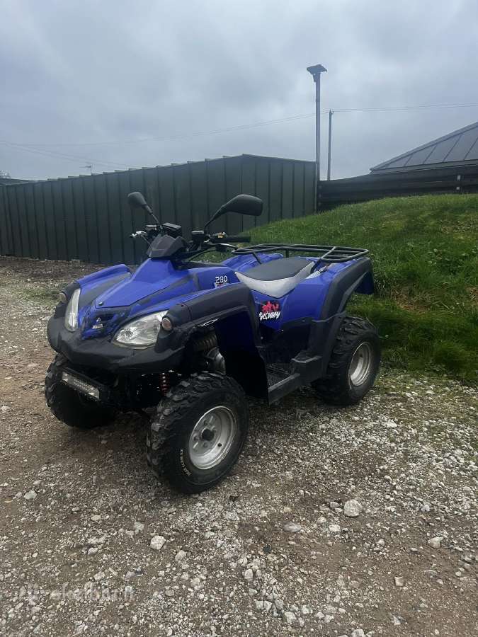 Parduodu Adly 280 Atv - nuotraukos Nr. 3