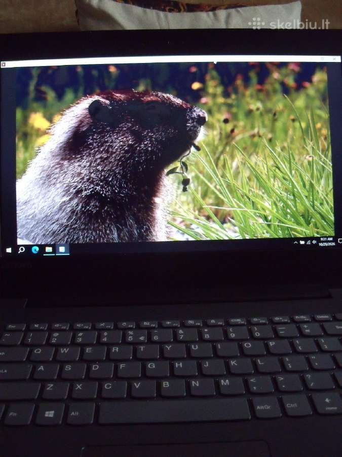 Thinkpad T530 ir Ideapad 320-14 - nuotraukos Nr. 14