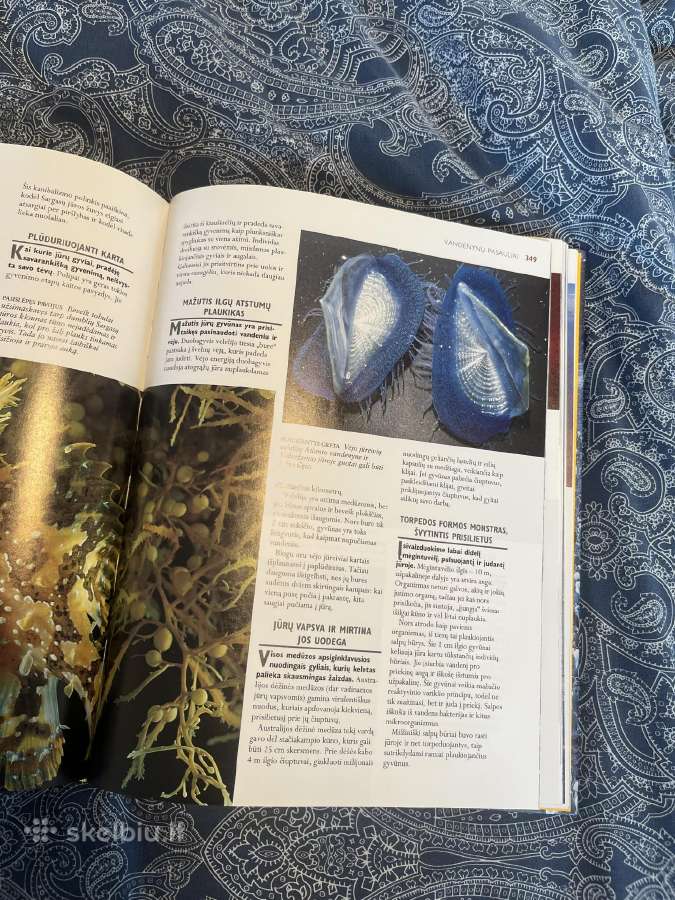 Enciklopedinis žinynas „1000 gamtos stebuklų“ - nuotraukos Nr. 4