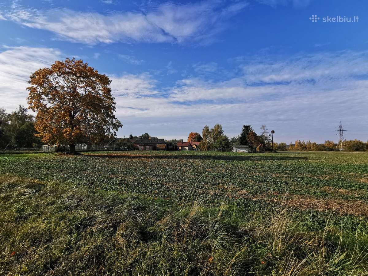 Parduodama sodyba šalia Šiaulių - nuotraukos Nr. 13