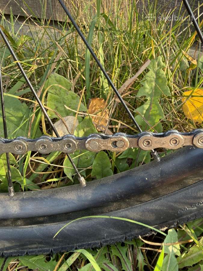 Trek fx3 XL hibridinis miesto dviratis - nuotraukos Nr. 9