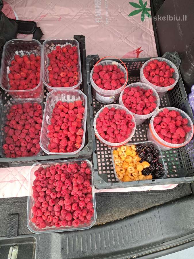 Žvirblių ūkis švieži produktai - nuotraukos Nr. 4