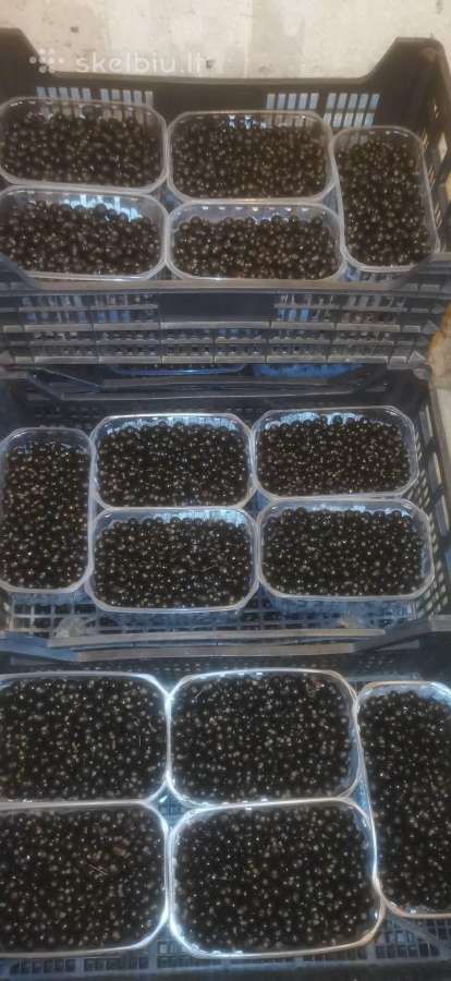 Žvirblių ūkis švieži produktai - nuotraukos Nr. 10