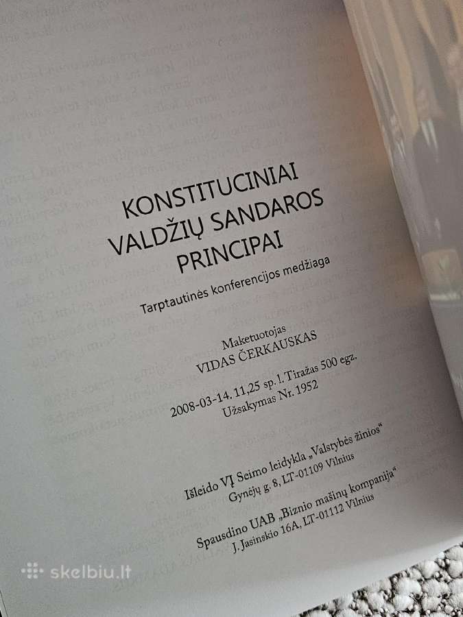 Konstituciniai valdžių sandaros principai - nuotraukos Nr. 3
