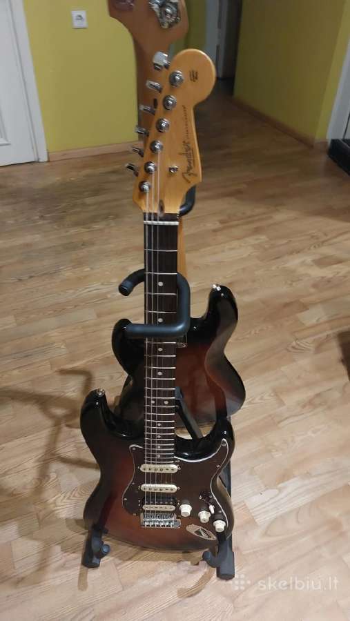 2 gitaros - nuotraukos Nr. 4
