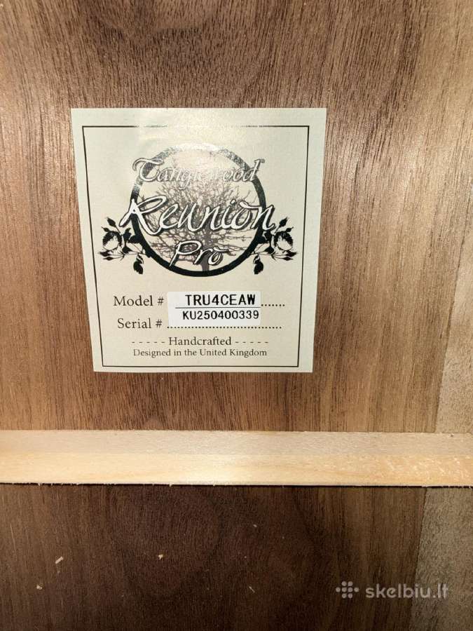 Tanglewood elektroakustinė gitara - nuotraukos Nr. 4