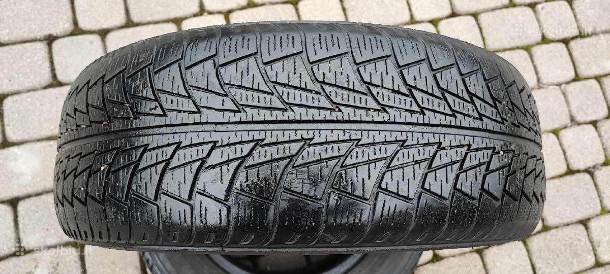 Naudotos žeminės padangos 195/65 R15 2vnt. - nuotraukos Nr. 3