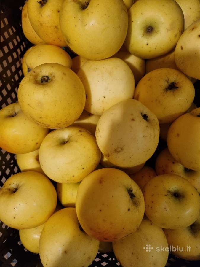 Parduodami skinti obuoliai - nuotraukos Nr. 2