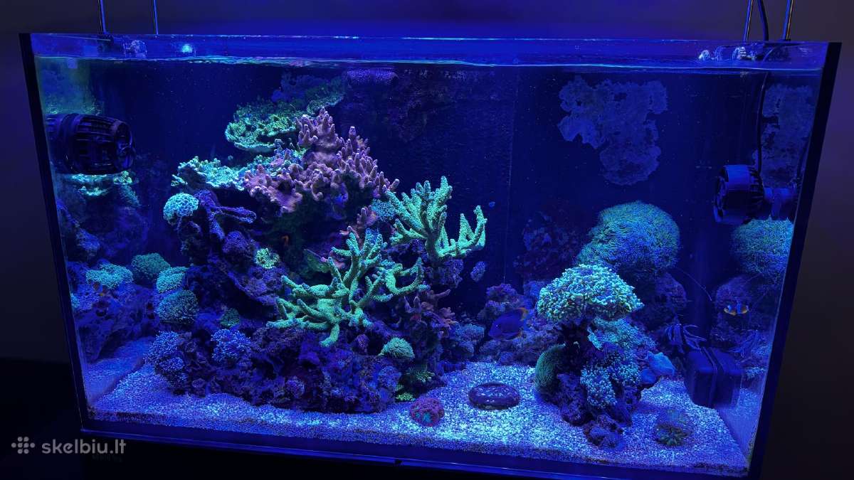 Parduodamas jūrinis akvariumas Red Sea Reefer 250 - nuotraukos Nr. 2