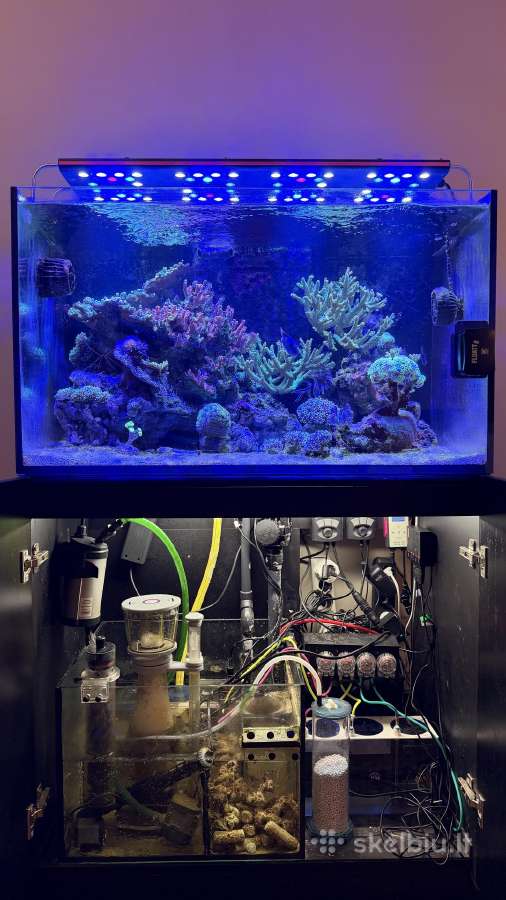 Parduodamas jūrinis akvariumas Red Sea Reefer 250 - nuotraukos Nr. 3