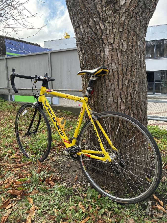 Plentinis dviratis Viking Xrr 54 cm - nuotraukos Nr. 2