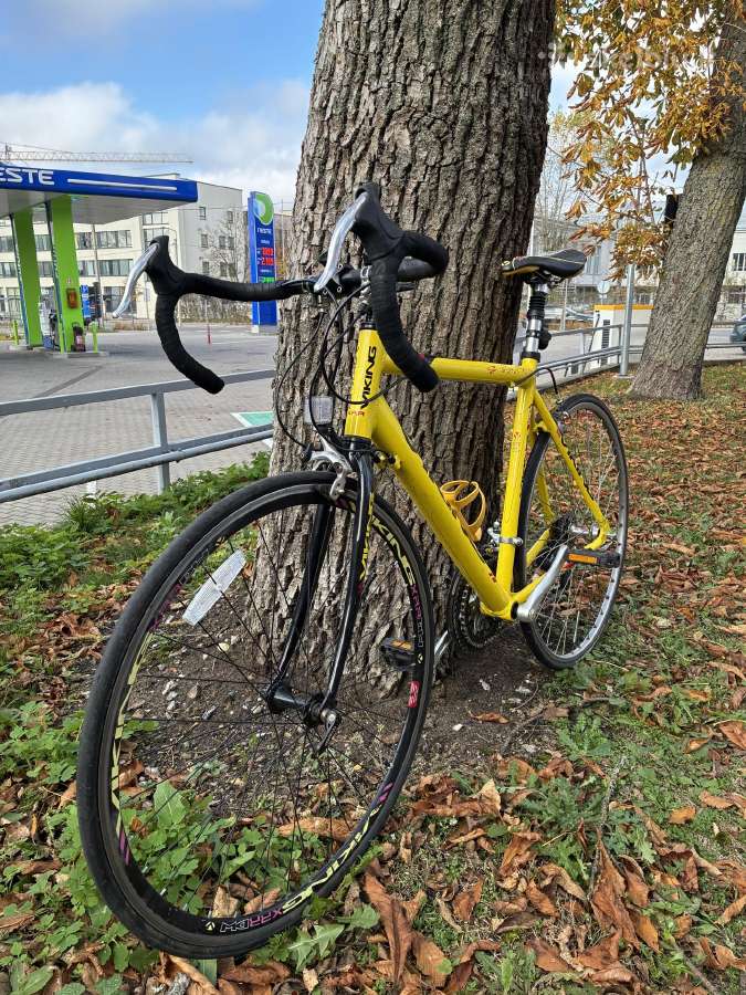 Plentinis dviratis Viking Xrr 54 cm - nuotraukos Nr. 3