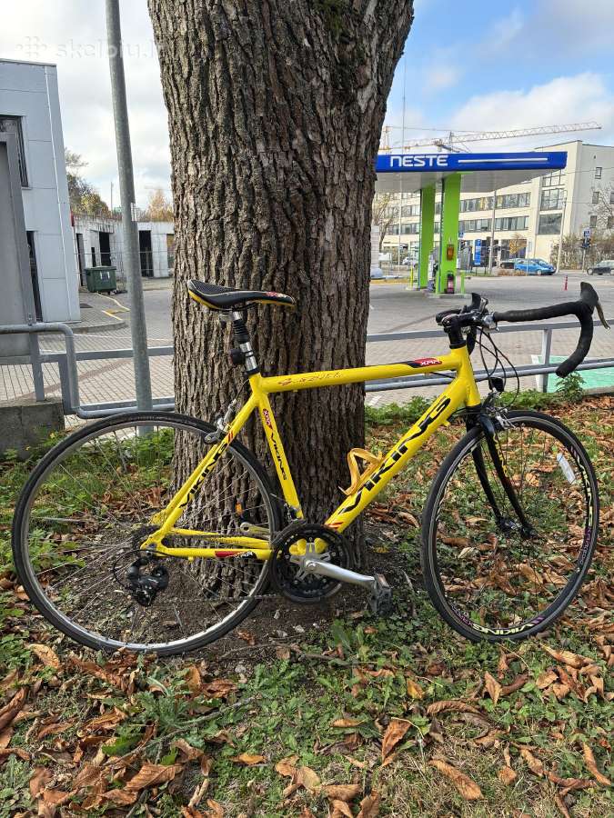 Plentinis dviratis Viking Xrr 54 cm - nuotraukos Nr. 4