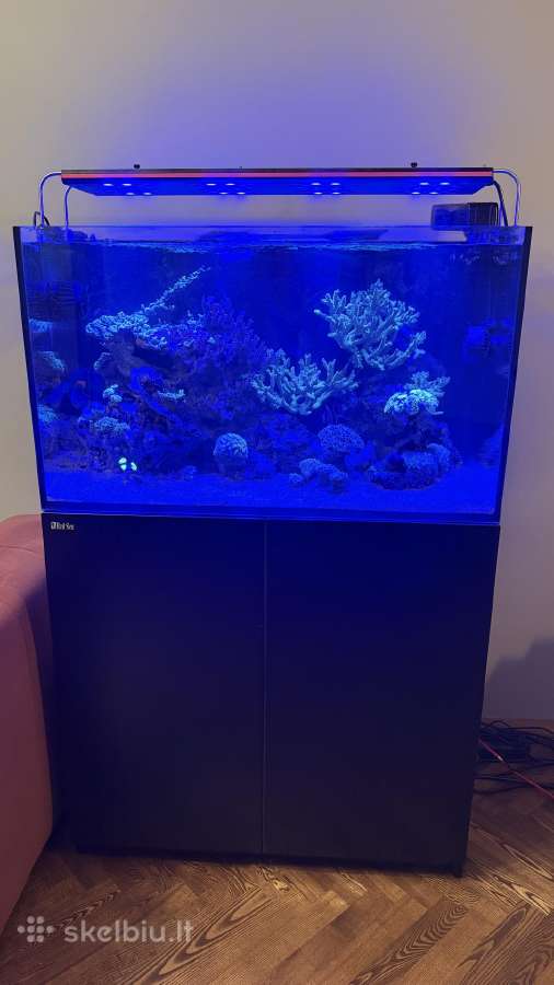 Parduodamas jūrinis akvariumas Red Sea Reefer 250 - nuotraukos Nr. 4